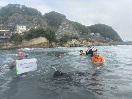 ウニの生態調査