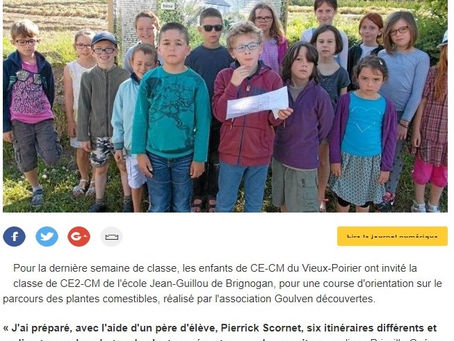 Les enfants découvrent les plantes sauvages comestibles