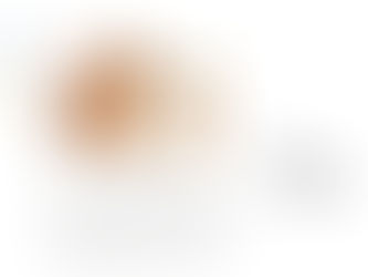 Concert Nolwenn Arzel