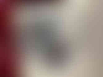 prémisse des volumes d'un griffon ciselé en style ancien