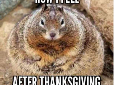 5 Tips for Thanksgiving Debates: Lessons from a Sex Ed Classroom