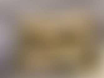 川でアユの投網釣りに行けました!