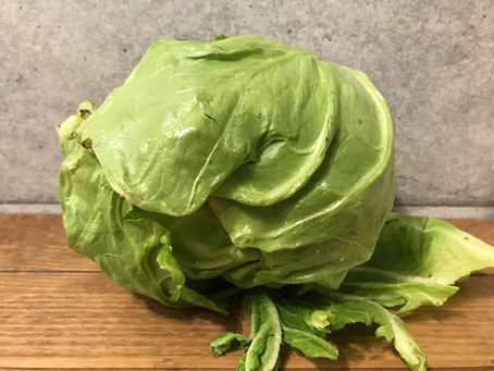 すごく甘くやわらかい春キャベツ