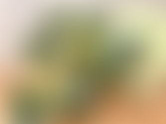 甘く柔らかい「ロマネスコ」を頂きました!