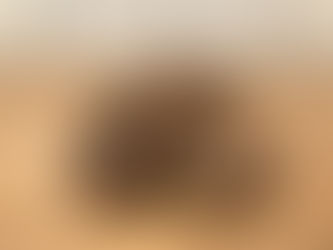 栄養価の高い“黒ニンニク”