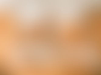 絶品!手羽先の唐揚げをいただきました