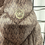 Thumbnail: Michael Kors Reversible Packable Puffer Coat