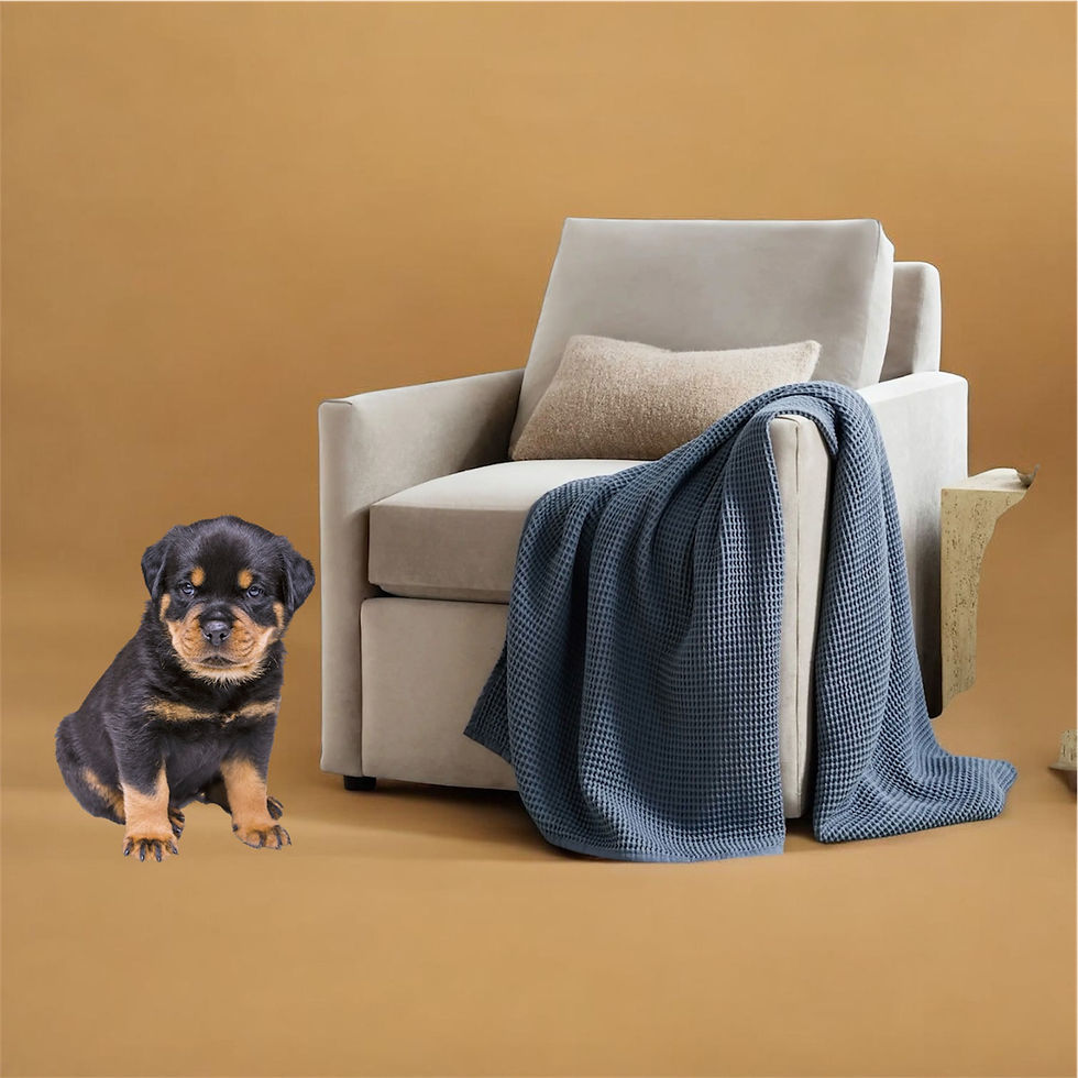 Thumbnail: Quince Organic Cotton Waffle Throw Blanket 