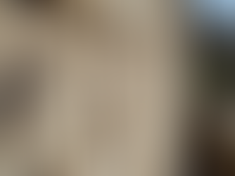 Why Choose Stone for Your Next Construction Project?