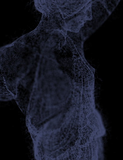 Amazon breast (0-00-02-23)_5 better colour.png