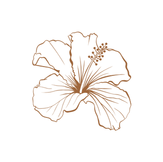 Fotos Website (10).png