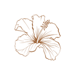 Fotos Website (10).png