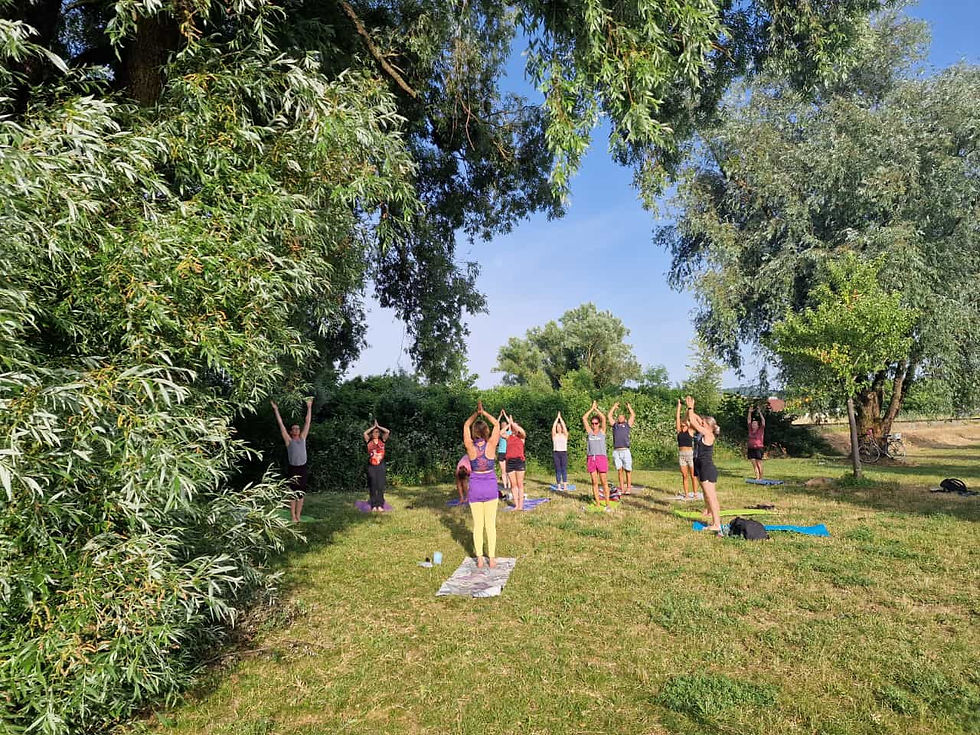 Morgen Yoga in der Natur mit gemeinsamen Frühstück (Deggendorf)