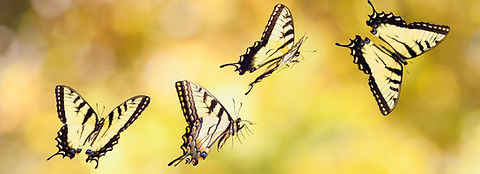 Fotos Website (16)_edited.jpg