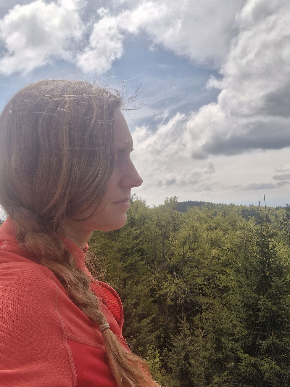 Neu: Waldmeditation