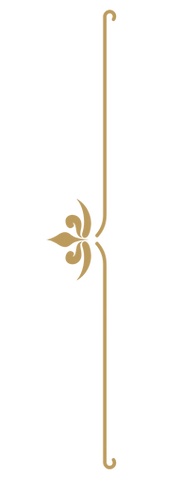 Sensitive Goddess Sisterhood (7).png