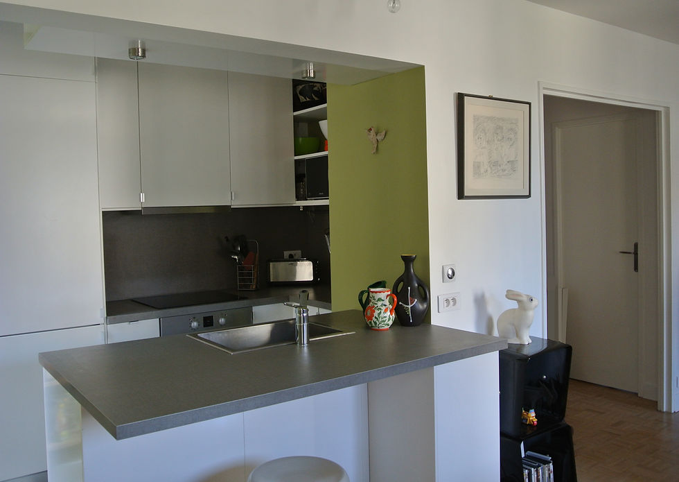 Emmanuelle Cohendet : Rénovation 6