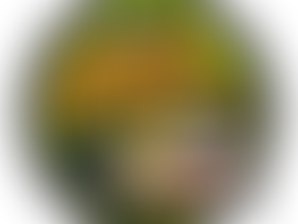 Stream Wednesday Programs At The Philippi Public Library