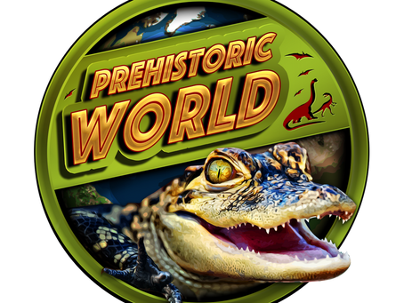 Stream Wednesday Programs At The Philippi Public Library