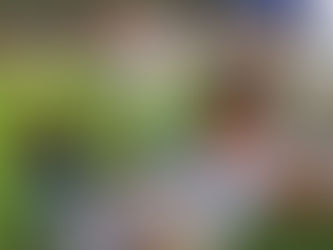 Spooktacular Fun In Downtown Philippi: Trick-Or-Treat Delight