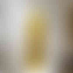 Betsy Karp Ralph Lauren yellow dress