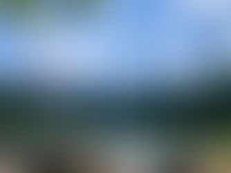 PATIENCE   💙🐟🦋🐦💎