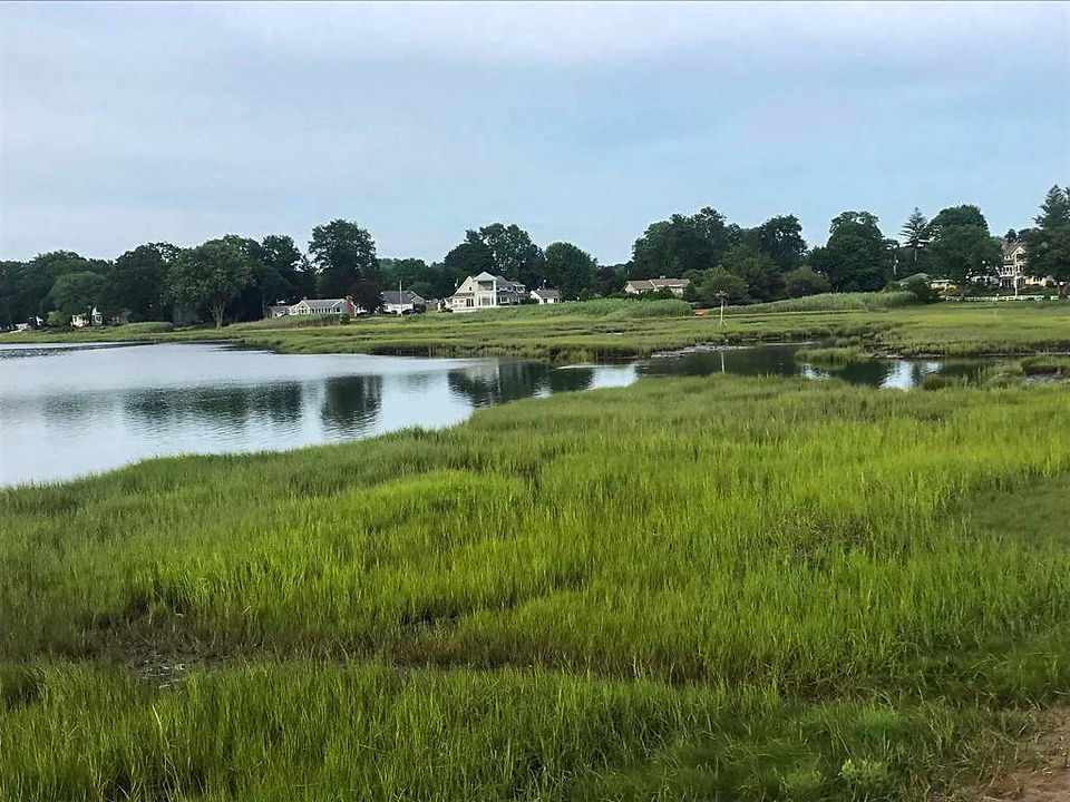 Grassy knoll - Spiritual Connections - Betsy Karp