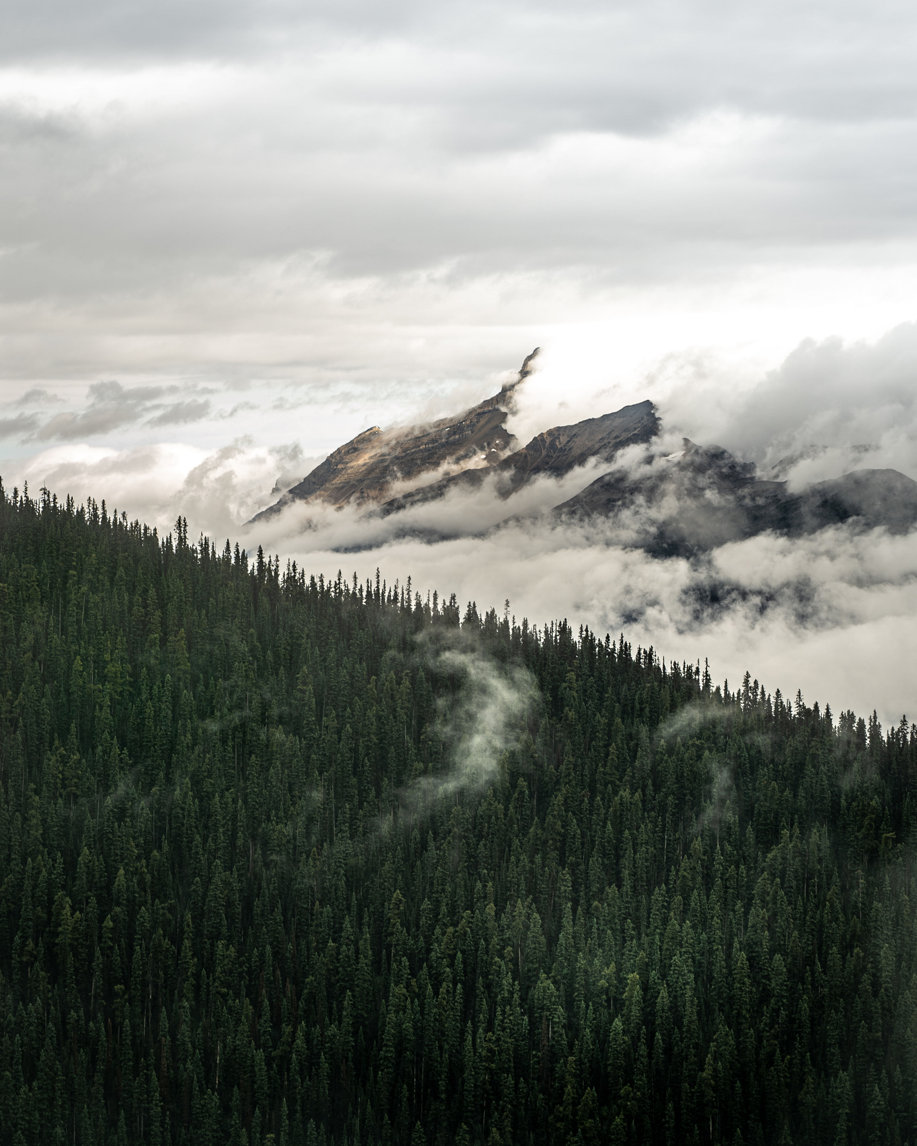 Misty Mountains - Alberta, Canada