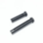 TakeDonw & Pivot Pin