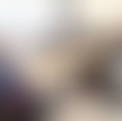 Local Businesses Benefit From Instagram Workshop