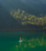 iStock-2155528447.jpg