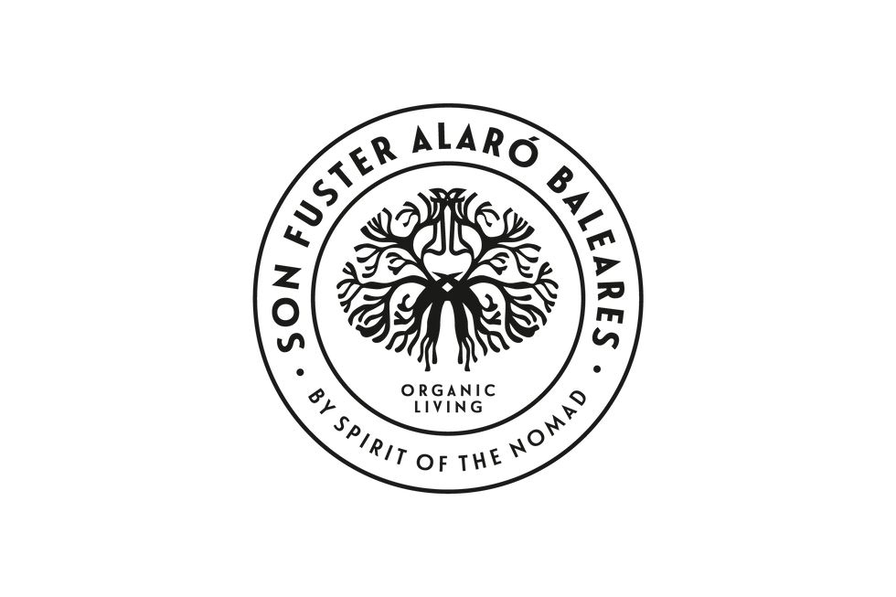 Spirit of Son Fuster.png