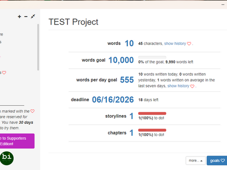 A screenshot of the goal tracker feature from inside Bibisco software for writers