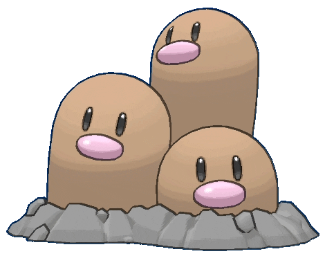 KakaoTalk_20241219_212930608.gif
