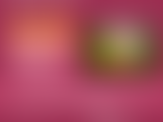 Calidad de vida en adultos mayores