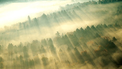 Getting to Know Myths Mists & Musings
