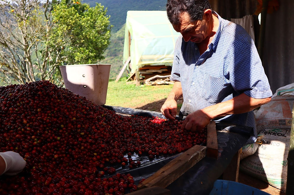 AP1GczPrlXEdn3wKdYs8v0zFltA6ht6HziAYP7PoeLi7nAtU6FDOP18W4FDPU9aDLzVEY858dCh8uVXsKty6fQYC4T