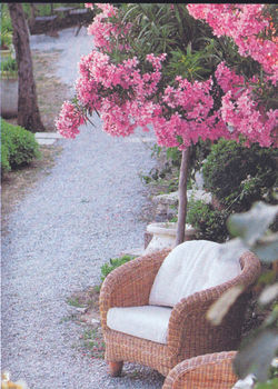 foto con sedia cmyk.jpg