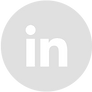 LinkedIn - Grey Circle