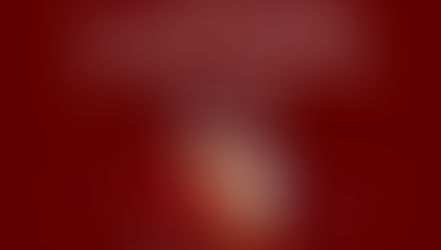 Neu: „Western Dressage“ Online-Kurs