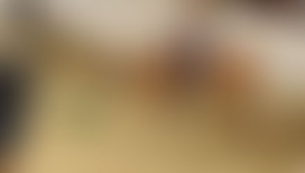 Beständig & regelmäßig – das eigene Pferd vom Sattel aus unterstützen!