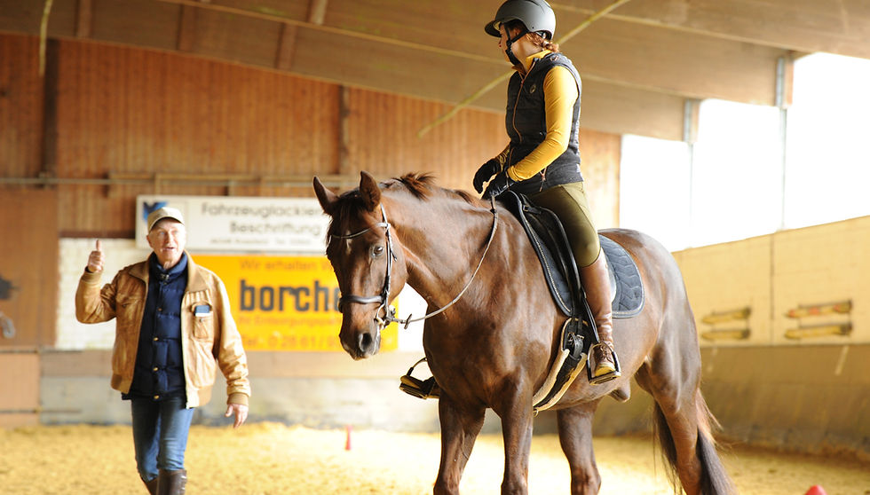 Reiterin während Ausbildung Reiten mit Peter Kreinberg