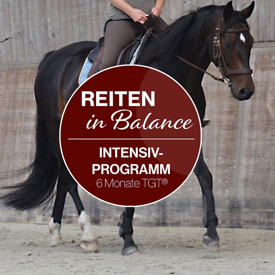 Reitseminar mit Peter Kreinberg