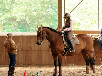 Beweglich im Sattel – für mehr Feinmotorik