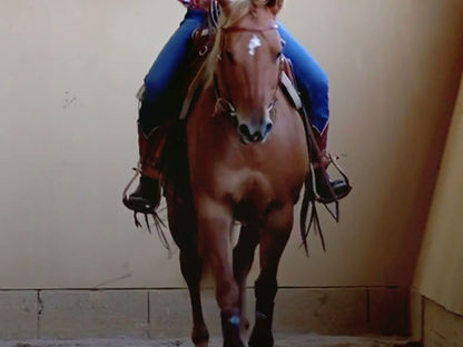 Eine feine Reittechnik kann man lernen
