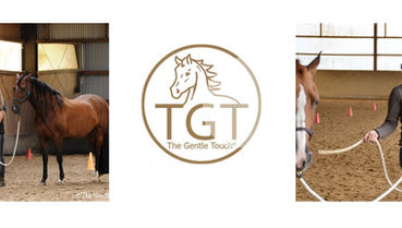 TGT® Bodenschule Ausbildung & Intensiv-Programm 2026