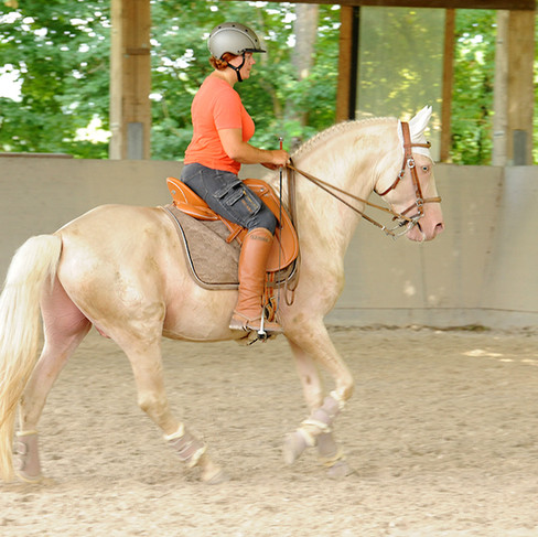 TGT® Trainerin am Reitseminar von Rika Kreinberg