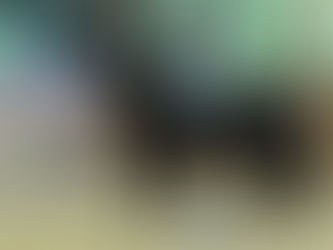 Schwierigkeiten in der Quadratvolte meistern – Tipp von Peter Kreinberg