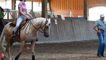 Reitseminar mit Peter Kreinberg