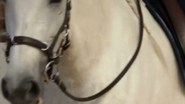 Seitwärts und Übergänge vor der Kamera: